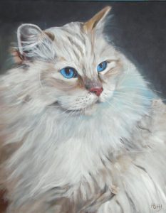 Kattenportret